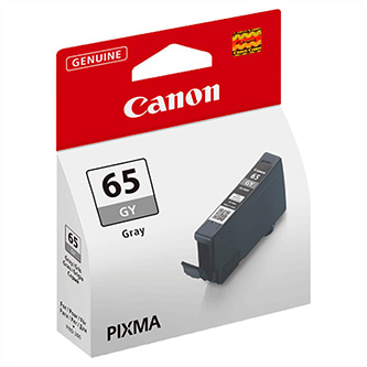 Obrazek Canon 65 4219C001 originální inkoustová kazeta, barva náplně šedá